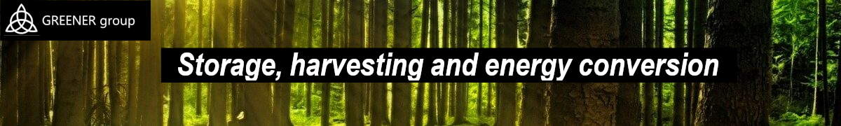 Storage, harvesting and energy conversion group