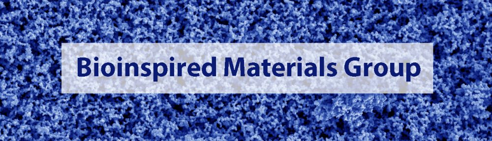 Bioinspired Materials Group