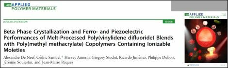 Study on piezoelectric polymer films recently published