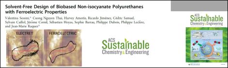Publication on ferroelectric properties of polyurethanes