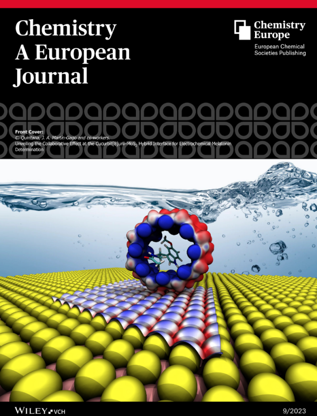 Front cover in Chemistry A European Journal ESISNA