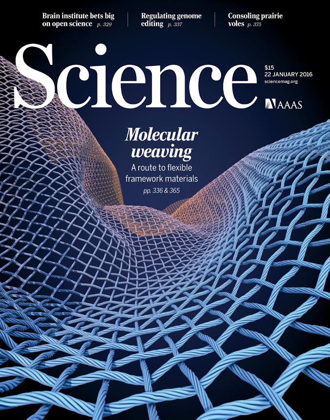 FACTORÍA DE CIENCIA DE MATERIALES – Artículo portada en la revista Science