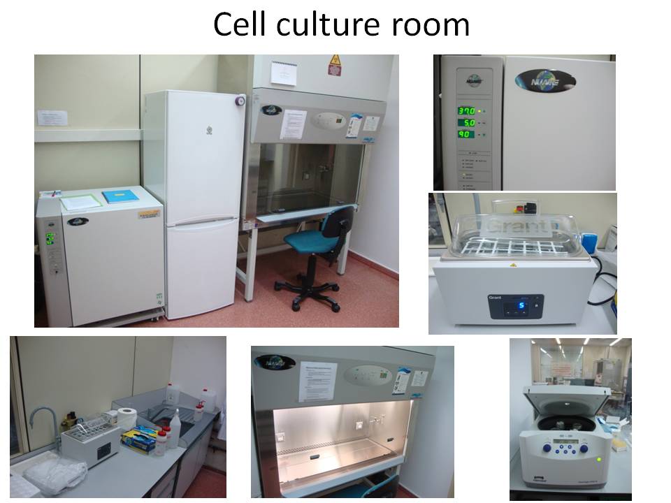 Cell Culture Room
