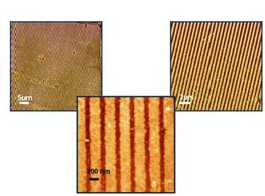 afm topography