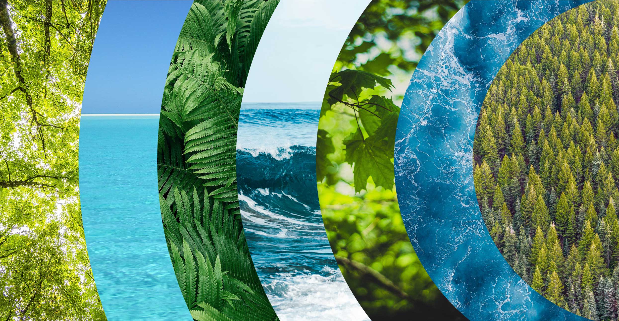 TWO DIMENSIONAL MATERIALS - GREENER - Storage, harvesting and energy ...