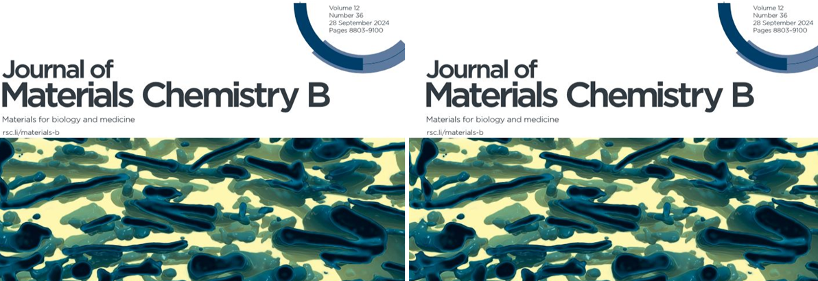 MATERIALS AND COMPONENTS FOR DENTAL IMPLANTOPROSTHESES