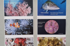 34eeccf7-d6c3-4f07-addf-dd4698497a5c