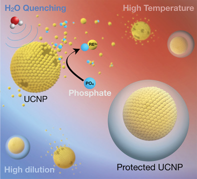 Upconversion Particles Avoiding Degradation of Upconversion Nanoparticles by Using Hydrophobic ...